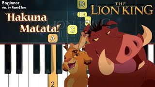 Beginner Hakuna Matata  The Lion King  Piano Tutorial with Finger Numbers [upl. by Aissac852]