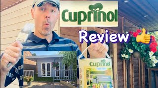 Cuprinol Garden Shade’s paint Review [upl. by Omrelliug737]