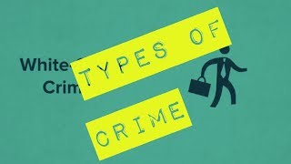 Types of Crime  Legal Studies [upl. by Neelasor608]