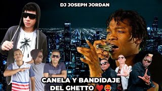 PLENA 🔥CANELA Y BANDIDAJE DEL GHETTO MIX ❌ DJ JOSEPH JORDAN LaTakillaMixes ❤ [upl. by Kendra]