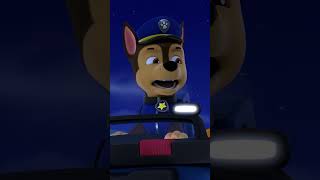 Pieski pomagają ośmiornicy wrócić do oceanu  Psi Patrol Polski PAWPatrol Shorts [upl. by Annot425]