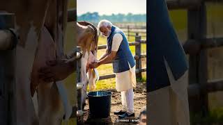 When Narendra Modi gets milk from cows Narendra Modi farming animatedcartoon [upl. by Noside]