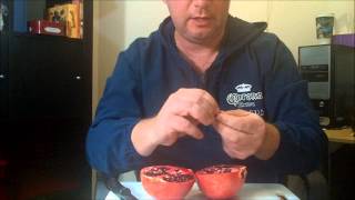 How to germinate pomegranate seeds from a fresh fruit [upl. by Baoj261]