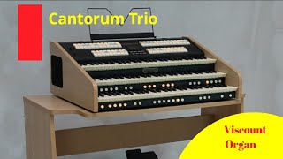 Viscount Cantorum Trio Electronic Organ [upl. by Bidle]