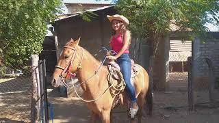 AQUÍ EN EL JABALÍN GUERRERO NARCE MONTANDO A CABALLO [upl. by Gertie]