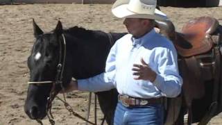 Horse Training Tips  Using A HeadSetter part 1 [upl. by Goer]