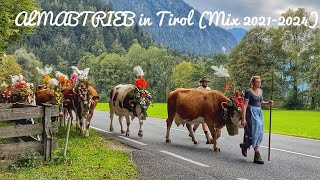 🇦🇹Almabtrieb in Tirol 20212024 🐮🐄❤️Zillertal Alpbachtal [upl. by Pip484]