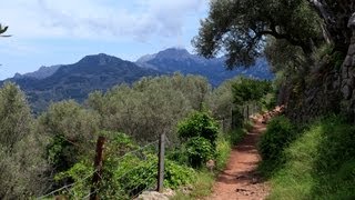 Wanderung Port de Sóller  Sóller [upl. by Teemus893]