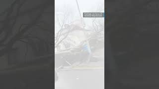 Trees have fallen in Inverlochy as Storm Gerrit continues to batter Scotland stv stormgerrit [upl. by Nnylahs]