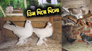 চারিদিকে খালি জল আর জল  বৃষ্টির দিনে সব শুনশান হয়ে গেলো 🥺 [upl. by Nathan943]