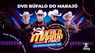 DVD  BÚFALO DO MARAJÓ A FORÇA  FESTIVAL DO ABACAXI PORTO GRANDE  AP 2023 [upl. by Ahsiret]