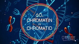 Genetics in 60 seconds Chromatin vs Chromatid [upl. by Cairns145]