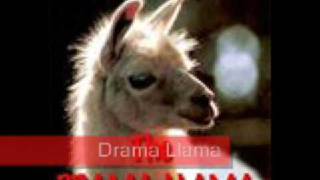 The Llama Song [upl. by Anestassia]