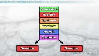 The Scientific Method Steps Terms and Examples [upl. by Servetnick233]