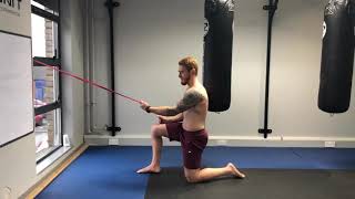 Single Arm Scap Retraction To Row Improve Scapula Mobility [upl. by Roots590]