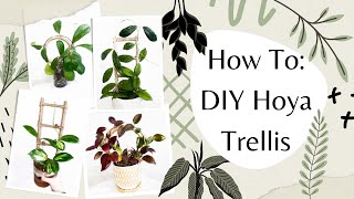 How To Make a Trellis for your Houseplants and Hoyas [upl. by Suhcnip]