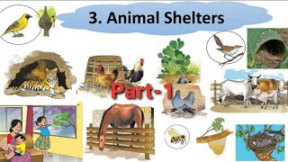 Class 3 lesson 3 Animal shelters Environmental Studies [upl. by Musihc59]