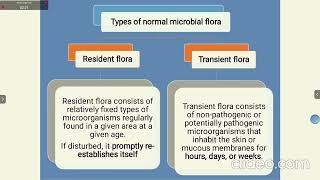 Normal microflora of humans I Skin microflora I Conjunctiva I Urogenital tract I Audio [upl. by Anilak]