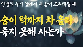 인생이 지옥같다는 사람들에게인간의 행복은 어디서 오는가나이 들수록 ‘이것’ 하는 사람들의 성공 확률이 미친듯이 높아진다하루 5분만부처님말씀석가모니ASMR불교법륜법정 [upl. by Ulphia]