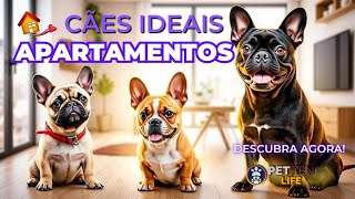 Melhores Raças de Cães para Apartamentos Pequenos Encontre o Companheiro Ideal [upl. by Domingo]