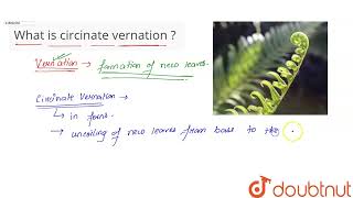 What is circinate vernation   CLASS 10  PRACTICALS  BIOLOGY  Doubtnut [upl. by Nanerb212]