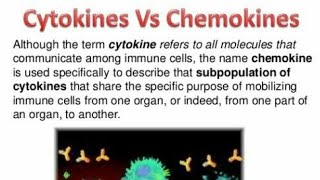 Cytokines and chemokines [upl. by Gninnahc]