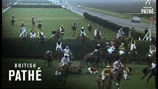 The Grand National 1965 [upl. by Nandor994]