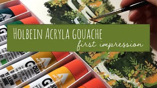 Holbein Acryla Gouache  First Impression [upl. by Eednam]