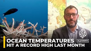 Oceans break hightemperature record in warmest February marked globally [upl. by Delanos176]