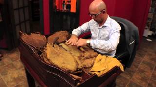 How To Roll A Cigar With A Master Roller From H Upmann [upl. by Alaet]