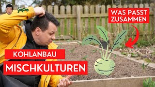 Kohlrabi Kohlpflanzen in Mischkultur  Aussaat und Anbau AprilMai [upl. by Ileek74]