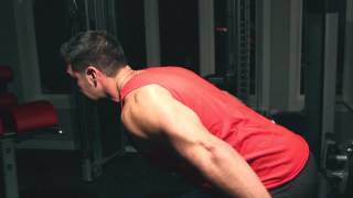 Isometrics for MASS 90 Seconds To Thicker Triceps [upl. by Idolah160]