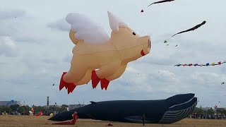 Fliegende Schweine und Teddys am Berliner Himmel [upl. by Edyaj]