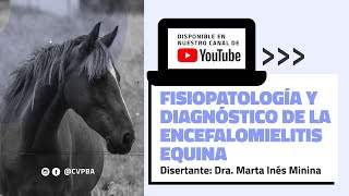 Fisiopatología y Diagnóstico de la Encefalomielitis Equina [upl. by Nnazus]