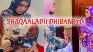 Shaqaaladii dhibaneyd Part 1 [upl. by Agnizn]