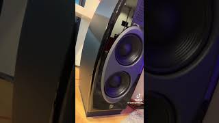 Diora acoustics Lada 7 vs Diora Polaris 300 sound compression [upl. by Adnalu]