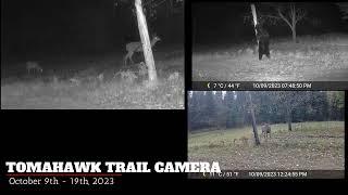 Tomahawk Trail Camera Oct 9 to 19 2023 [upl. by Anawd936]