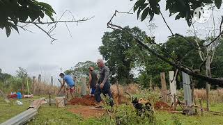 LOAFING SHED Design for goats ang sheeps 2nd day of construction [upl. by Ayota]