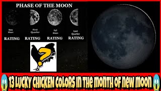 13 LUCKY CHICKEN COLORS IN THE MONTH OF NEW MOON [upl. by Akemak904]