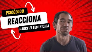 PSICOLOGO reacciona a entrevista con Harry [upl. by Llerraf805]