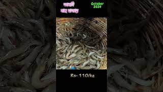 তালদী মাছের বাজার অক্টোবর 2024  prawn price in Kolkata  fishbazar fish [upl. by Emina]