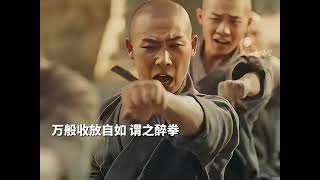 RESPECT🔥🔥 Shaolin in Real life [upl. by Skantze]