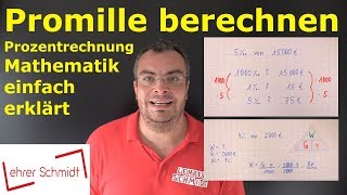 Promille berechnen  Prozentrechnung  Mathematik einfach erklärt  Lehrerschmidt [upl. by Zena]