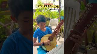 shorts ROSAS PANDAN BANDURRIA short music bandurria shortsviral [upl. by Akyeluz930]