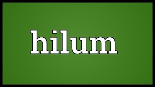 Hilum Meaning [upl. by Natanoj1]