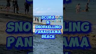 Scuba amp Snorkelling Panagsama Beach  moalboal swimming tourism [upl. by Razal]