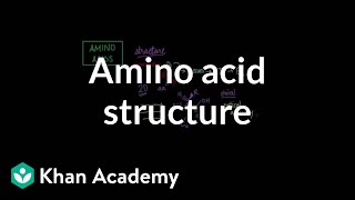 Amino Acid Stereochemistry [upl. by Aelgna]