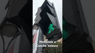 Semáforo ye ye  Homenaje a Concha Velasco [upl. by Radbourne]