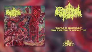 CEREBRAL ROT  Bowels Of Decrepitude From Excretion Of Mortality LP 2021 [upl. by Bannasch368]