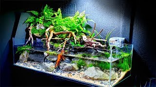 EPIC 25ft AQUA TERRARIUM  My Biggest Yet How To Aquascape No co2 No Ferts No Heater [upl. by Ziegler253]